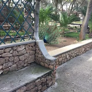 16 Privatunterkunft Porto Santo